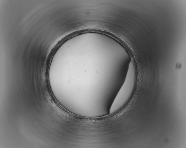 X0000113560880200910021552