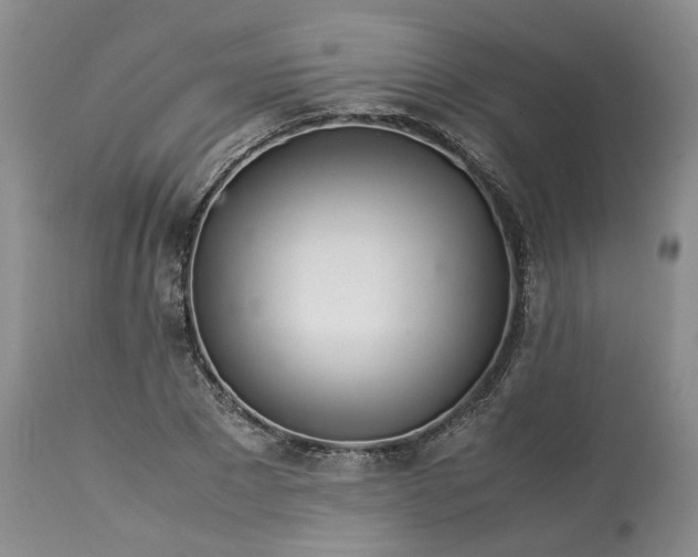 X0000113560881200910021552