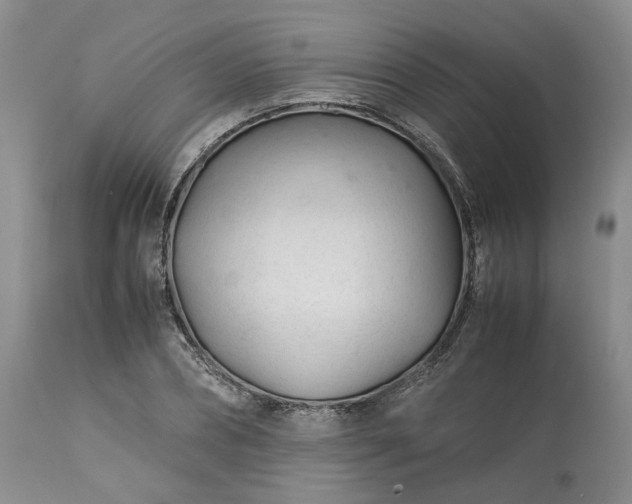 X0000113560882200910021552