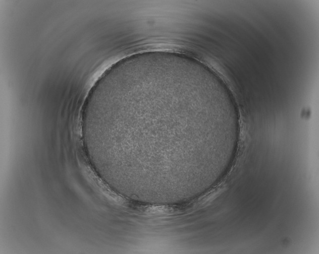X0000113560883200910021552