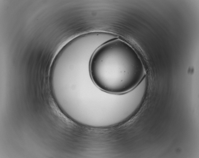 X0000113560884200910021552