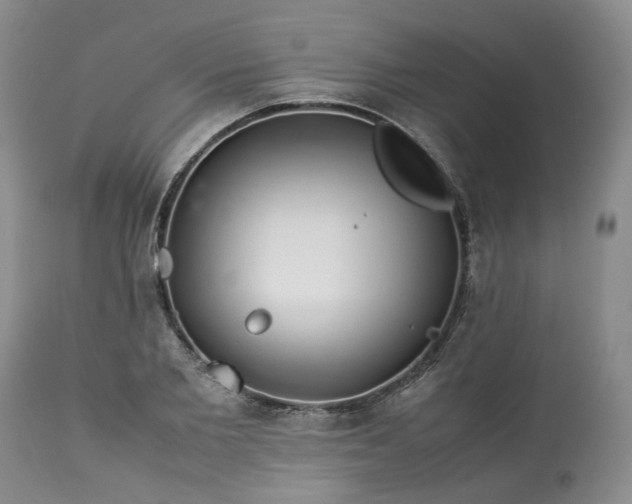 X0000113560885200910021552