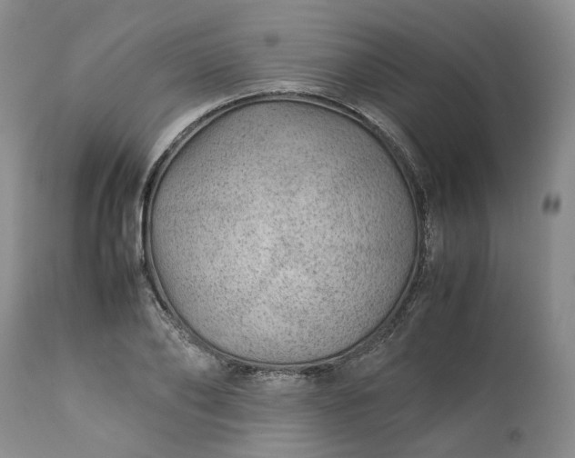 X0000113560886200910021552