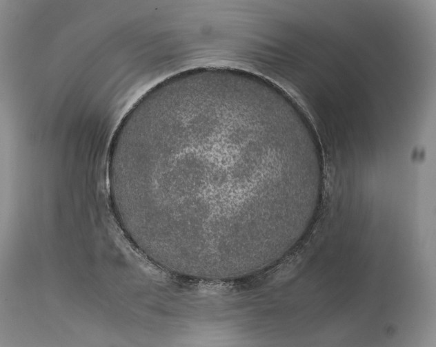 X0000113560887200910021552