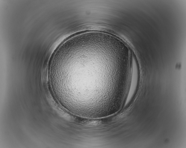 X0000113560891200910021552