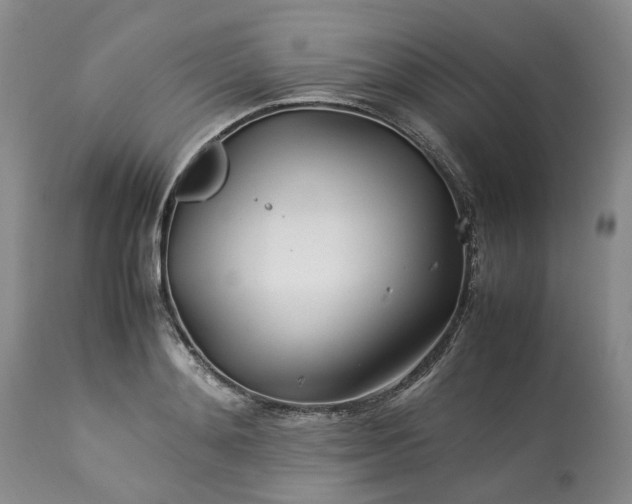 X0000113560892200910021552