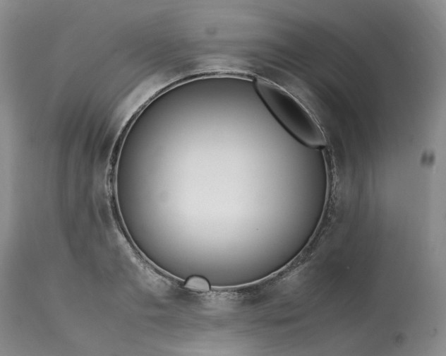 X0000113560893200910021552