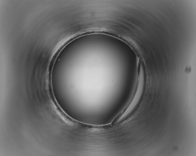 X0000113560894200910021552