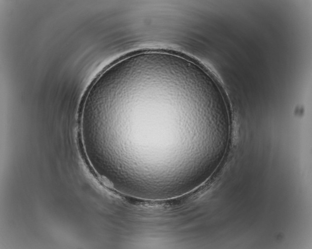 X0000113560895200910021552