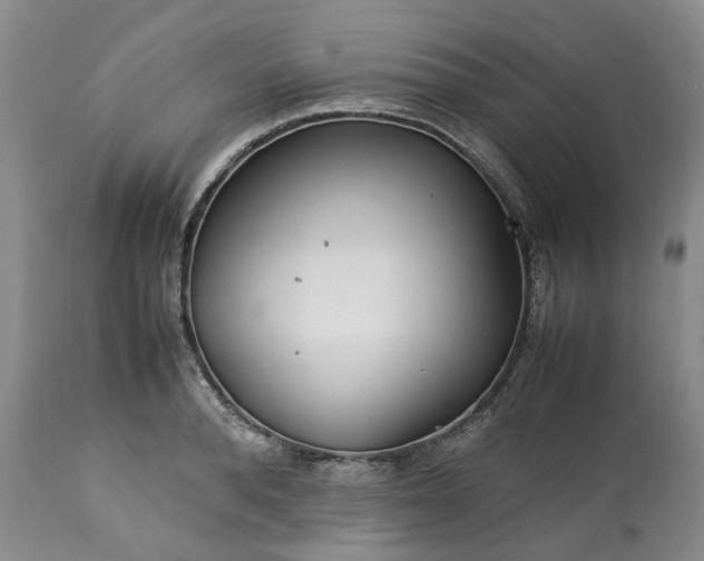X0000113560896200910021552