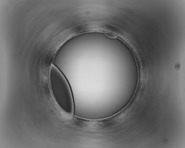 X0000113560897200910021552