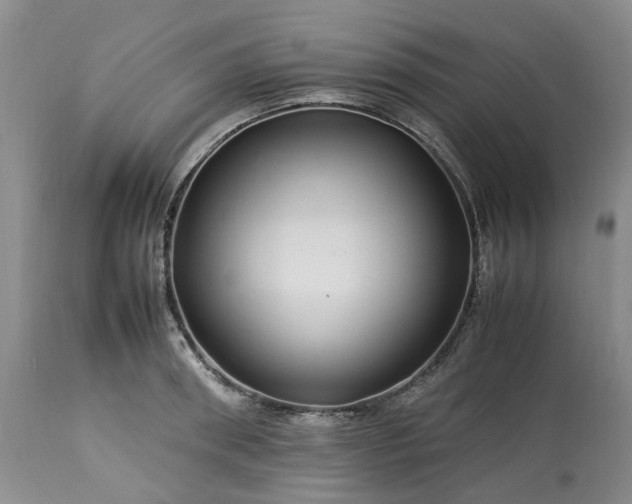 X0000113560898200910021552
