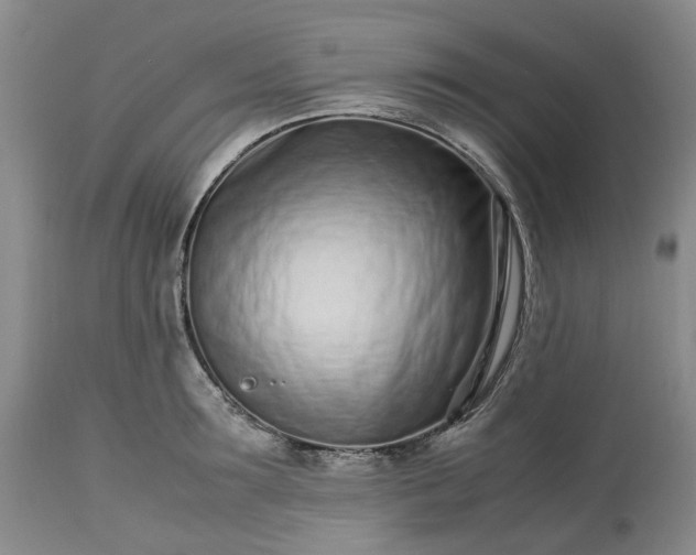 X0000113560899200910021552
