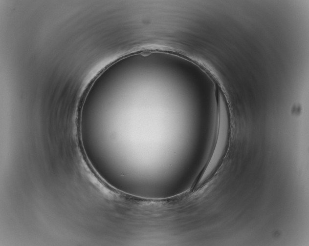 X0000113560902200910021552