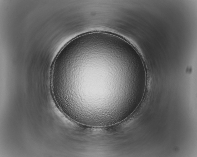 X0000113560903200910021552