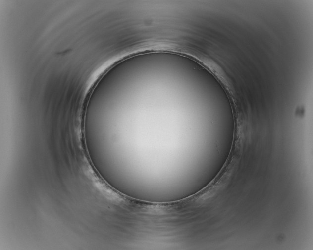X0000113560904200910021552