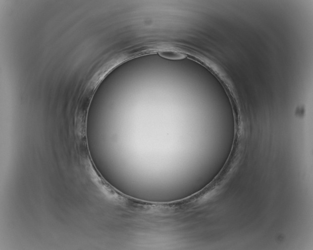 X0000113560905200910021552