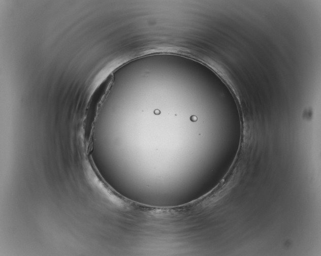 X0000113560906200910021552