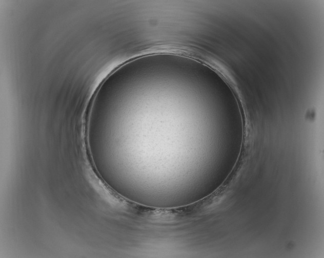 X0000113560907200910021552