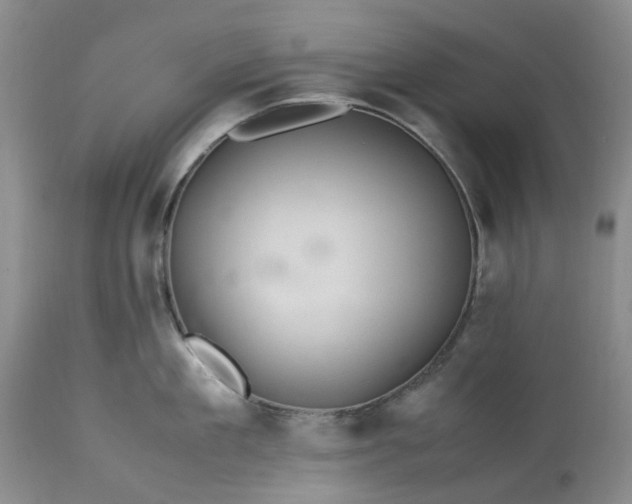 X0000113560909200910021552