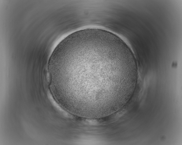 X0000113560911200910021552