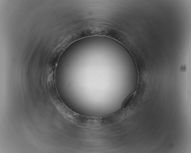 X0000113560914200910021551