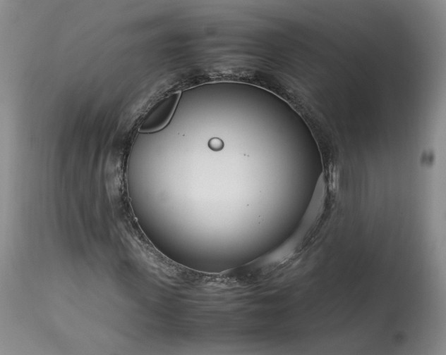 X0000113560915200910021551