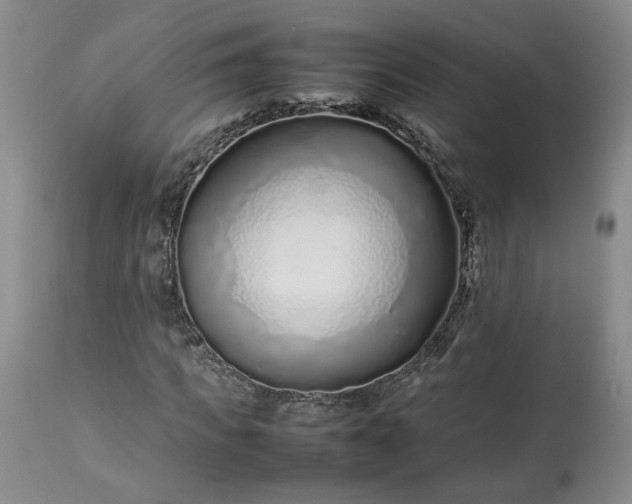 X0000113560917200910021551