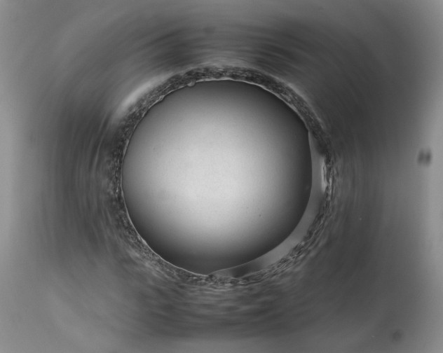 X0000113560919200910021551