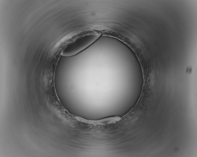 X0000113560920200910021551