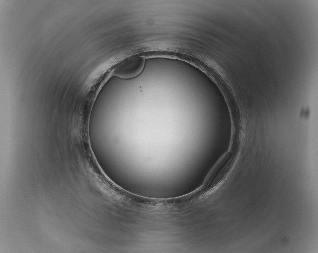 X0000113560922200910021551
