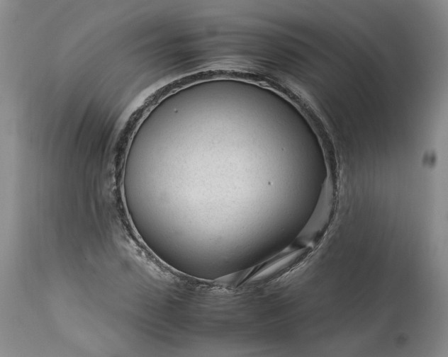 X0000113560923200910021551