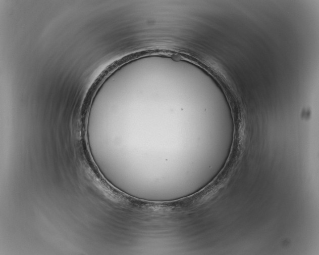 X0000113560924200910021551