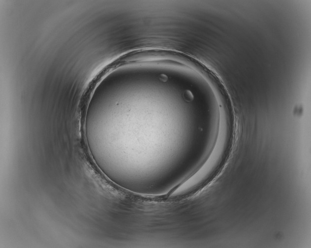 X0000113560925200910021551