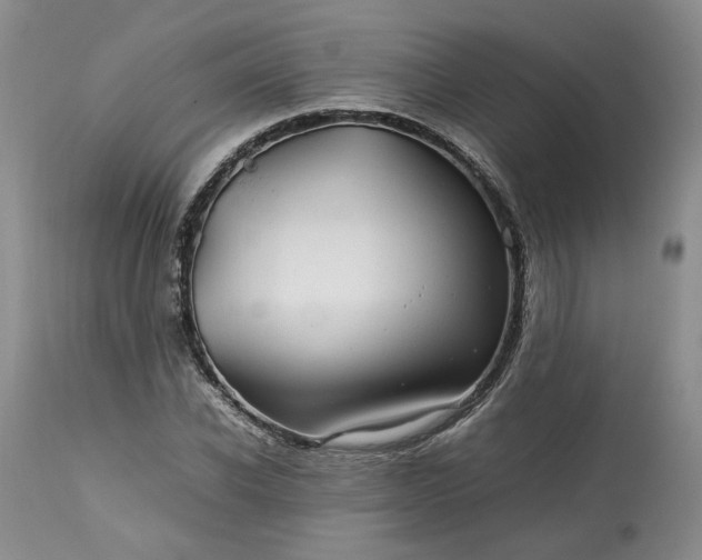 X0000113560926200910021551
