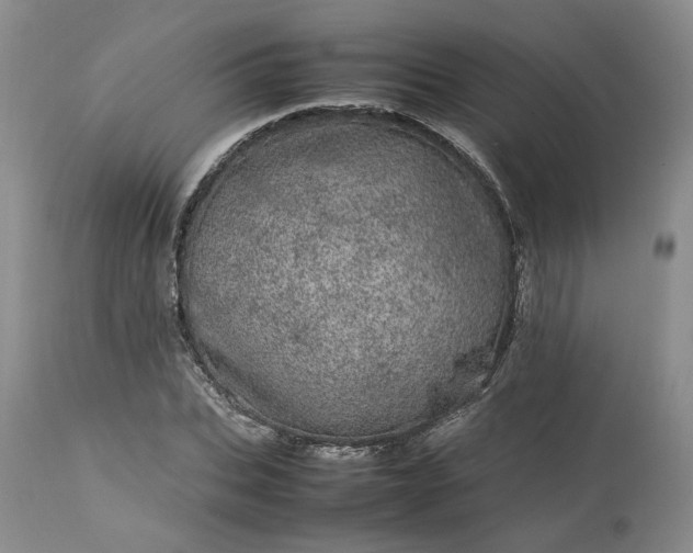 X0000113560927200910021551