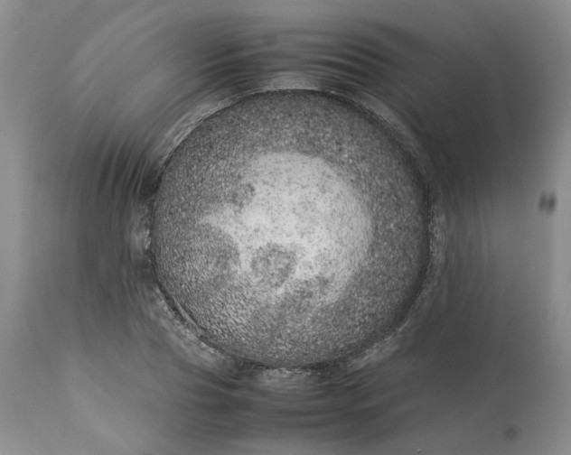 X0000113560929200910021551