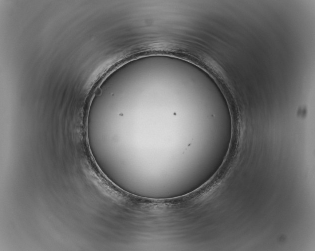 X0000113560930200910021551