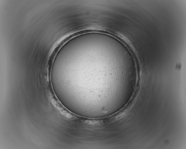 X0000113560931200910021551