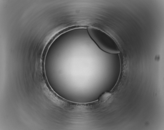 X0000113560932200910021551