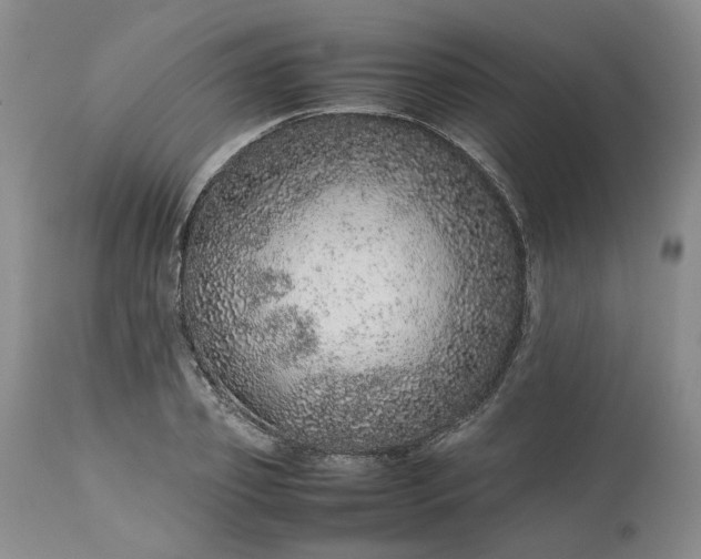X0000113560933200910021551