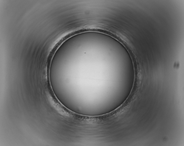 X0000113560934200910021551