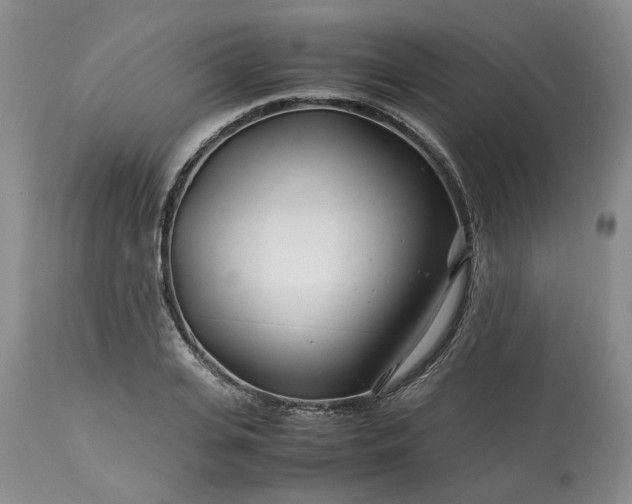 X0000113560935200910021551