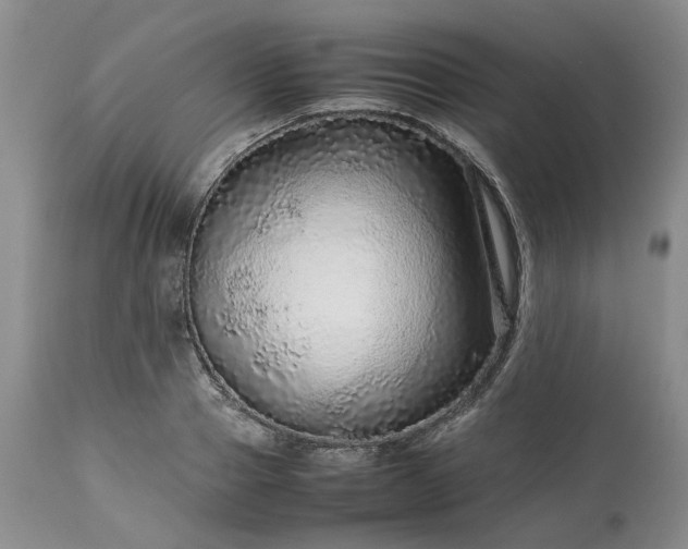 X0000113560937200910021551