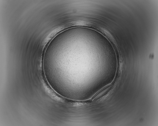 X0000113560938200910021551