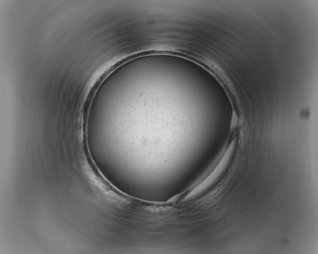 X0000113560939200910021551