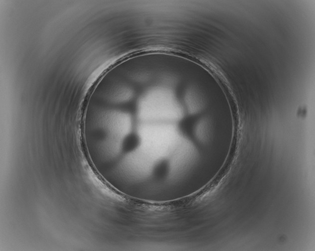 X0000113560941200910021552