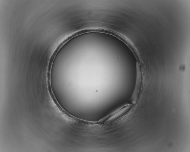 X0000113560943200910021552