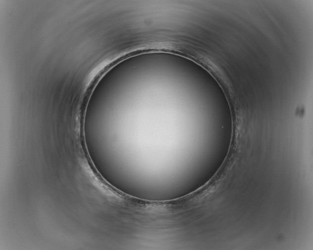 X0000113560944200910021552