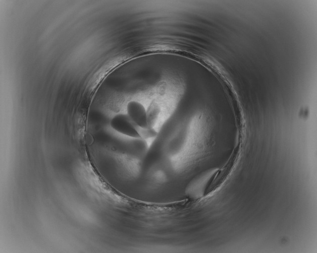X0000113560945200910021552